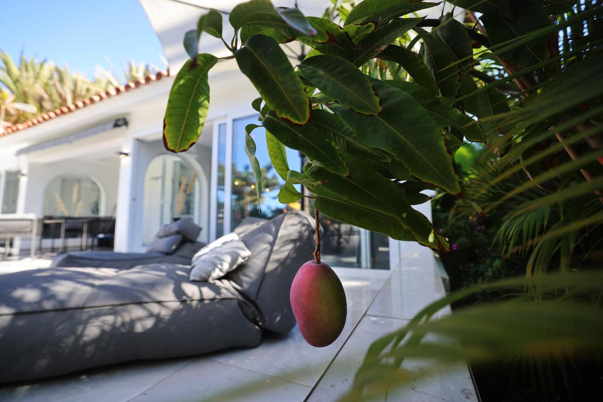 Sun Club Luxus Bungalow Projecto 65 Maspalomas  Exterior foto